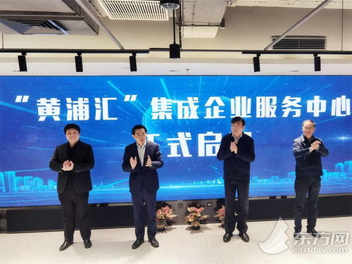五大功能與八大機(jī)構(gòu)協(xié)同賦能，黃浦匯集成企業(yè)服務(wù)中心構(gòu)筑科技企業(yè)之家，深化信息技術(shù)咨詢(xún)服務(wù)